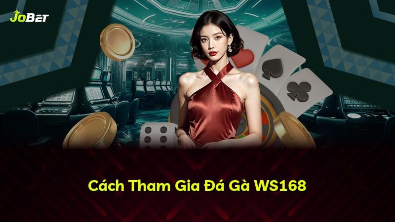 Cách Tham Gia Đá Gà WS168