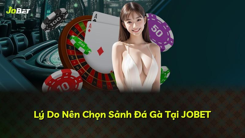 Lý Do Nên Chọn Sảnh Đá Gà Tại JOBET