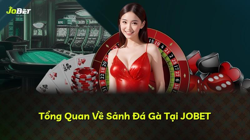 Tổng Quan Về Sảnh Đá Gà Tại JOBET